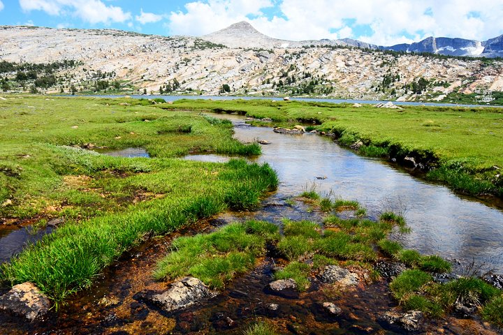 Tuolumne Meadows